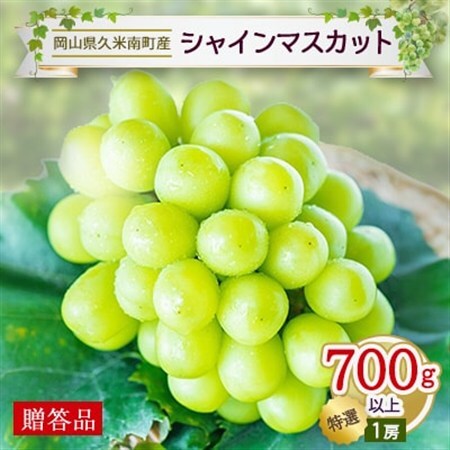 〈2026年発送〉岡山名産【晴王】シャインマスカット「特選」700g以上(1房)【贈答用】久米南町産【配送不可地域：離島・北海道・沖縄県】【1040064】