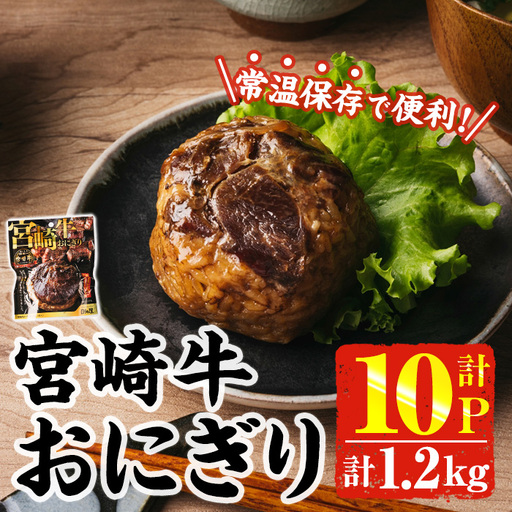 [2週間以内発送!] 宮崎牛 おにぎり (計1.2kg・120g×10P) お弁当 小分け 常温[AP-79][株式会社 日向屋]