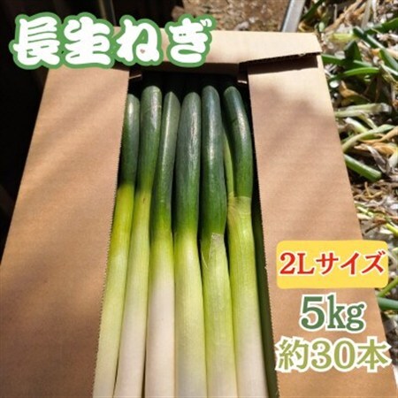 [千葉県長柄町産]『長生ねぎ』2Lサイズ 5kg(約30本)
