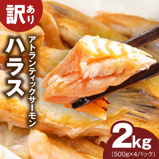 [訳あり]アトランティックサーモン ハラス 2kg