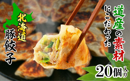 熊笹餃子 雫包(しずづつみ) 20個《足寄町》餃子 [BEAR014]