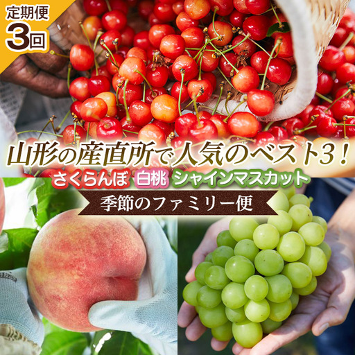 【定期便3回】山形の産直所で人気のベスト3！さくらんぼ・白桃・シャインマスカット【季節のファミリー便】  FZ25-223