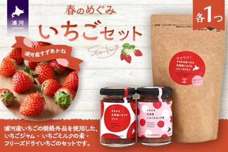 べてるの家の「いちごセット」[45-1477]