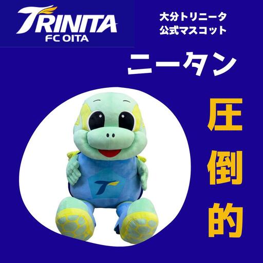 大分トリニータ公式マスコットぬいぐるみ「圧倒的ニータン」 | 豊後高田市 サッカー