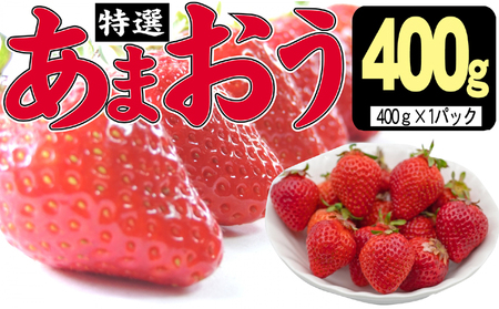 いちご 2027年2月より発送 特選あまおう 400g ※配送不可:離島