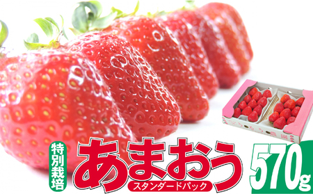 いちご 2027年2月より発送 うるう農園のあまおう スタンダード2パック 約570g 果物 フルーツ デザート 食後 特別栽培 福岡県産 国産 日本産 ※配送不可:離島