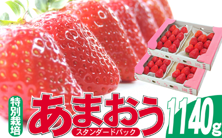 いちご 2027年2月より発送 うるう農園のあまおう スタンダード4パック 約1.14kg 果物 フルーツ デザート 食後 特別栽培 福岡県産 国産 日本産 ※配送不可:離島
