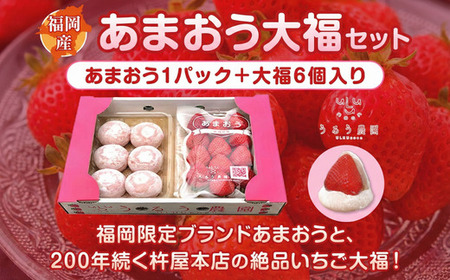 いちご 2027年2月より発送 うるう農園のあまおう大福キット(あまおう1パック+大福6個セット) 果物 和菓子 生菓子 苺大福 フルーツ 和スイーツ 特別栽培 福岡県産 おやつ ※配送不可:離島