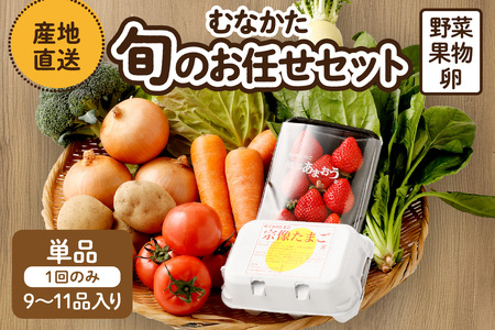 むなかた旬のお任せセット(野菜・フルーツ・卵) 9〜11品[JAほたるの里]