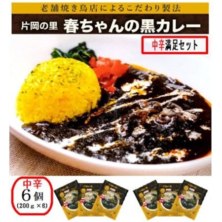 片岡の里春ちゃんの黒カレー 中辛満足セット