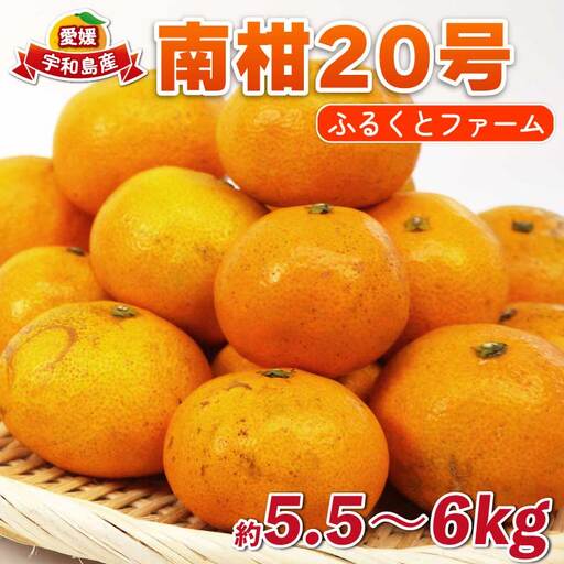 南柑20号 5.5kg 〜 6kg サイズミックス ふるくとファーム かなこちゃんち 温州みかん 温州みかん