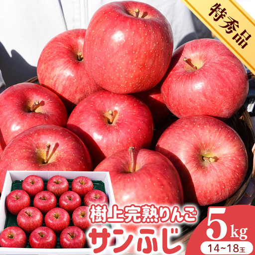 令和8年産 樹上完熟りんご サンふじ 特秀品 5kg（14 - 18玉） 2026年産 山形県産【2026年12月上旬頃から下旬頃発送予定】　032-B-HK010