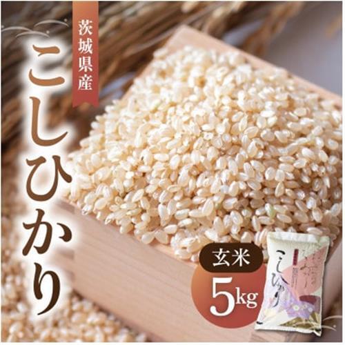 令和8年産 新米 コシヒカリ 玄米 5kg | こしひかり お米 茨城県かすみがうら市産_玄米 茨城県産 こしひかり 5kg_【1630960】