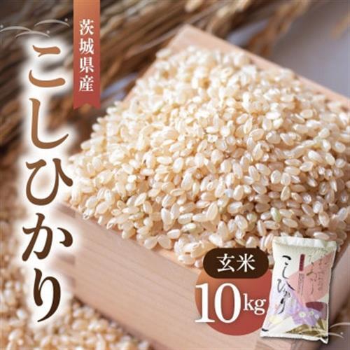令和8年産 新米 コシヒカリ 玄米 10kg | こしひかり お米 おこめ 茨城県産_玄米 茨城県産 こしひかり 10kg_【1630961】