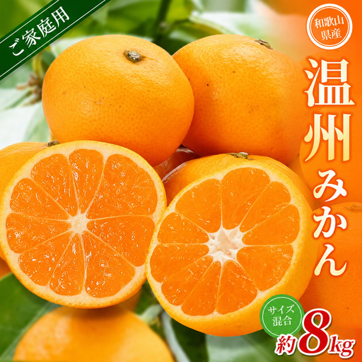 みかん【家庭用】 森本農園 約8kg  【2026年10月中旬～2027年2月中旬ごろに順次発送】【BV-mrmt042】