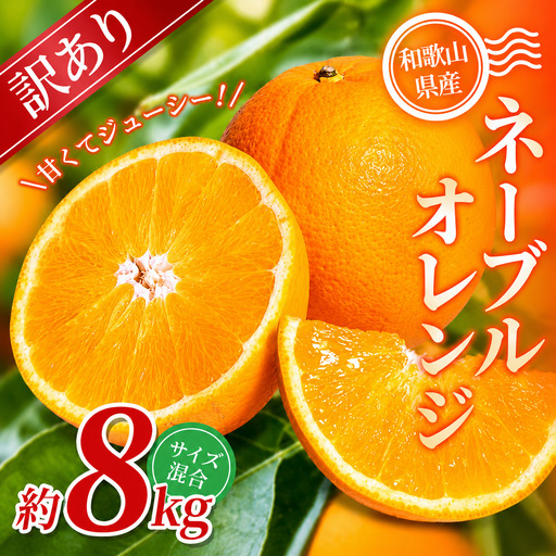 【訳あり】 森本農園の手選別ネーブルオレンジ 約8kg 和歌山県産 サイズ混合 【北海道・沖縄・離島配送不可】【2027年1月上旬～2月中旬頃に順次発送】【BV-mrmt047】