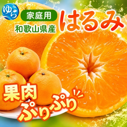 【先行予約】 家庭用 はるみ 訳あり 1kg+250g（傷み補償分）/ 春 みかん 光センサー選別 ※2027年2月上旬〜3月下旬ごろに順次発送予定 ※北海道・沖縄・離島への配送不可  【ikd013-c-1B】