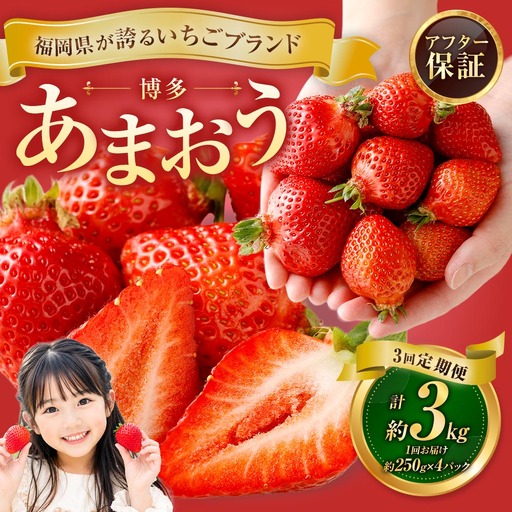 【3回定期便】博多 あまおう 4パック【2027年2月上旬～2027年4月下旬発送予定】