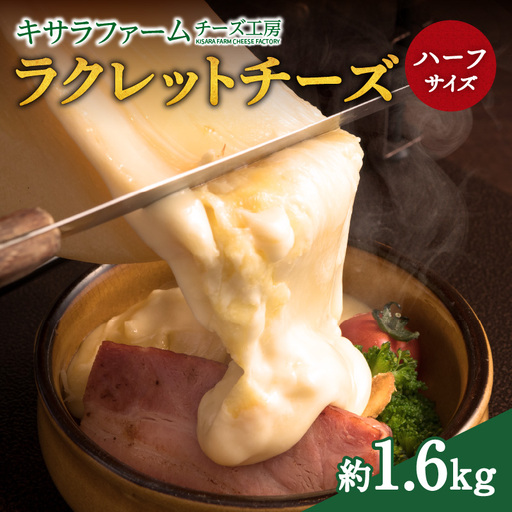 キサラファームチーズ工房のラクレット チーズハーフサイズ ！ 【ドリア グラタン パンに乗せて！食べ方様々、ラクレット約1.6㎏をお届け 乳製品 カルボナーラ フランスパン パスタ グラタン ドリア おつまみ お取り寄せ 北海道 清水町】_S002-0005