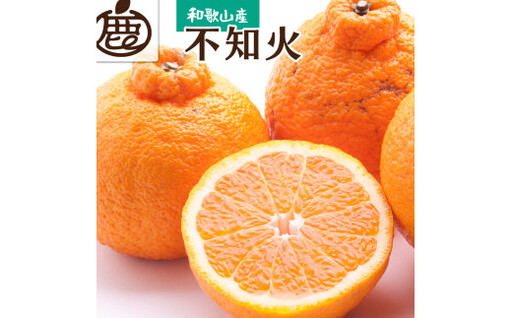 不知火 厳選 7.5kg+250g(痛み補償分)/ みかん しらぬい 光センサー 選別 デコポン 柑橘 晩柑 和歌山 甘い 23000円 / ※2027年2月上旬〜4月上旬ごろに順次発送予定 ※北海道・沖縄・離島への配送不可[ikd010-p-7d5B]