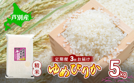 米 ゆめぴりか 精米 白米 令和7年産 3回 5kg 特A