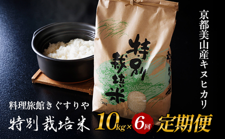 定期便 6回　料理旅館きぐすりや　令和8年産 　特別栽培米キヌヒカリ 10kg 新米26
