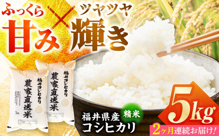 [定期便2回][令和7年産] 福井県産こしひかり 精米 5kg 小浜市 / シマダ農園 [BFAV009]