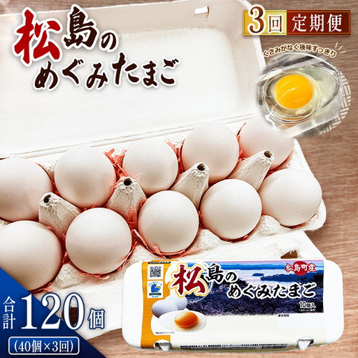 松島のめぐみたまご　40個入り　3ヵ月定期便 No.163