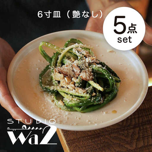 【波佐見焼】KINU 6寸皿 5点セット（艶なし）【studio wani】[MB84]