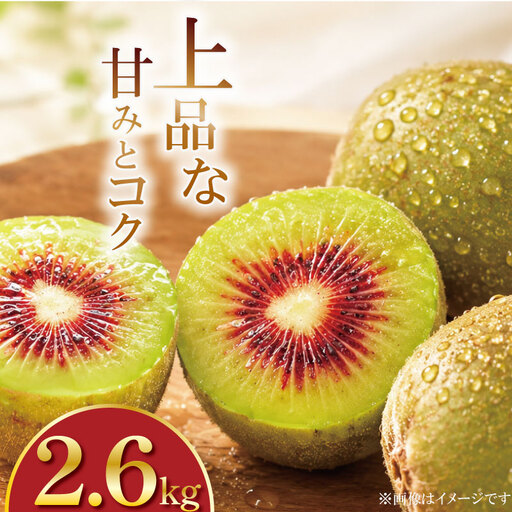 訳あり キウイフルーツ 紅妃 2.6kg 先行予約 2026年10月上旬～ キウイ