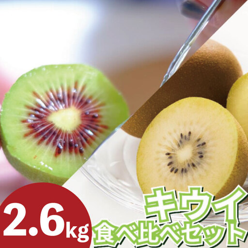 訳あり キウイフルーツ 食べ比べ 2.6kg 先行予約 2026年10月上旬～ キウイ
