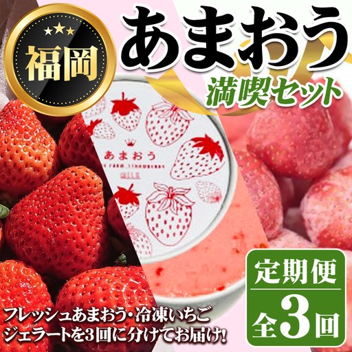 《先行予約受付中・数量限定》＜定期便・全3回(3月・6月・8月)＞2027年3月からお届け！あまおう満喫セット(あまおう：計約1kg・ジェラート2種：計720ml・冷凍いちご：1.5kg) 苺 定期便 ＜離島配送不可＞【ksg1718】【THE FARM_strawberry】