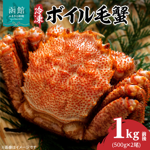 北海道産毛蟹　500g×2尾 瞬間冷凍 カニ 毛蟹 _HD069-030