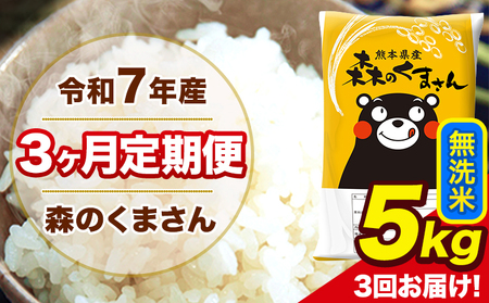 米 令和7年産 森のくまさん 無洗米 5kg 5kg×1袋 計3回お届け [お申込み翌月から出荷] お米 こめ 熊本県産 ご飯 備蓄