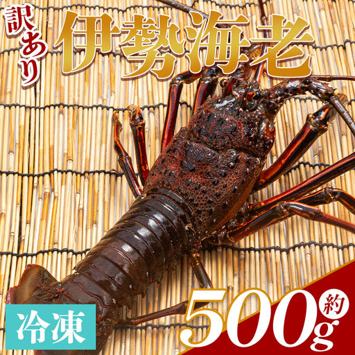 [ 伊勢海老 ]500g 伊勢海老 eb-0057