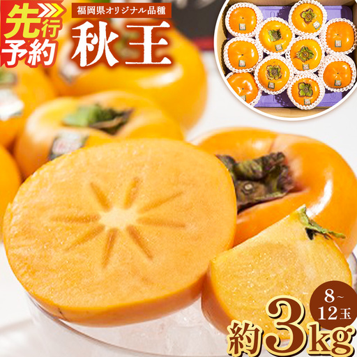 C21 福岡県産 ブランド柿・秋王 約3kg(8〜12玉) [2026年10月下旬-11月下旬発送予定] 柿 甘柿 秋王 果物 くだもの フルーツ