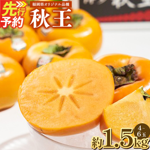 A198 福岡県産 ブランド柿・秋王 約1.5kg（4～6玉） 【2026年10月下旬～11月下旬発送予定】 柿 甘柿 秋王 果物 くだもの フルーツ