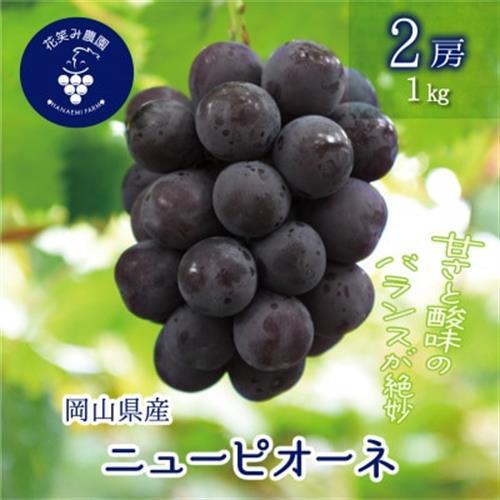 【2027年先行予約】岡山　花笑み農園の『ニューピオーネ』1kg (2房)　P-1【配送不可地域：離島・北海道・沖縄県】【1628315】