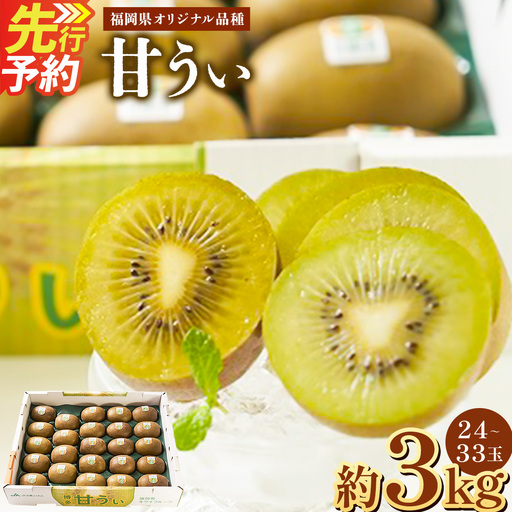 A200  福岡県産 ブランドキウイ・甘うぃ 約3kg（24～33玉） 【2026年10月下旬～12月上旬発送予定】 キウイ 果物 くだもの フルーツ