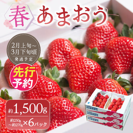 A159 【春】 あまおう 6パック いちご 【2027年2月上旬～3月下旬以降発送予定】