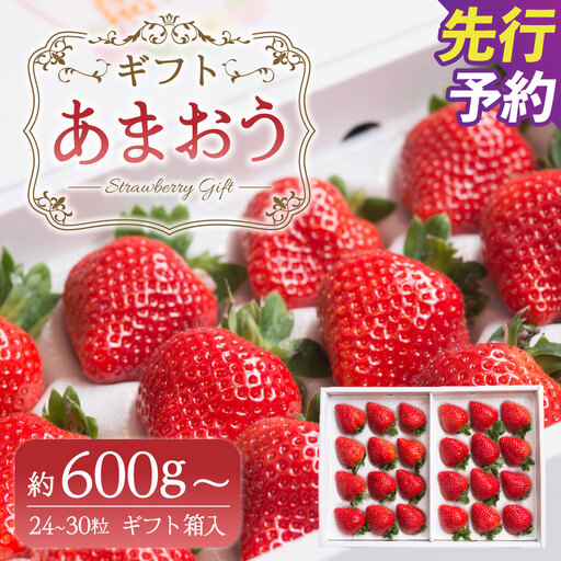 A161 【ギフト】 あまおう 24～30粒 いちご 【2026年12月上旬～2027年3月下旬発送予定】