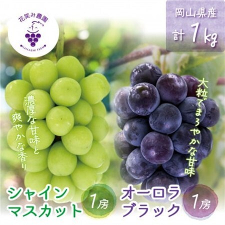 岡山　花笑み農園の『オーロラブラック＆シャインマスカット』1kg(2房)AS【配送不可地域：離島・北海道・沖縄県】【1629359】