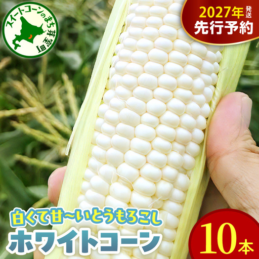 十勝芽室町産 とうもろこし ホワイトコーン 10本 トウモロコシ