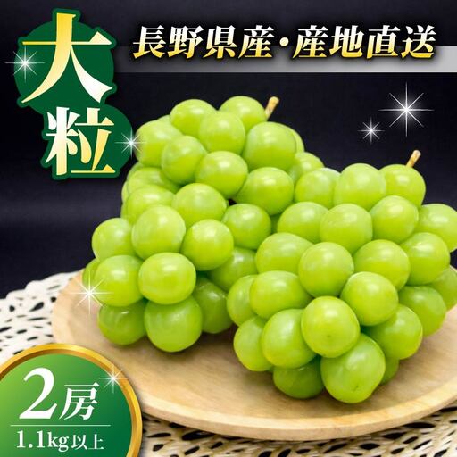 【先行受付2026年発送】東御市産シャインマスカット2房【秋お届け】大粒 高評価 信州