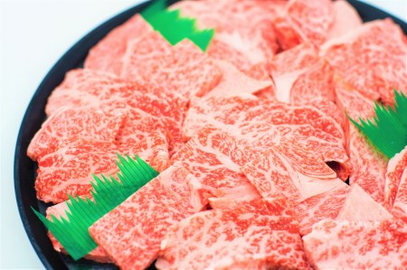 特撰飛騨牛A5等級 肩ロース・赤身 焼肉用900g