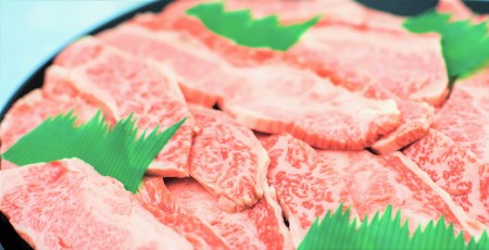 特撰飛騨牛A5等級 上カルビ(バラ) 焼肉用800g
