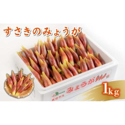 [ みょうが ] 1kg かつおのたたき に 合う すさきのみょうが