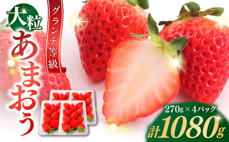 【先行予約】博多あまおう いちご 1080g [BGBQ001] あまおう