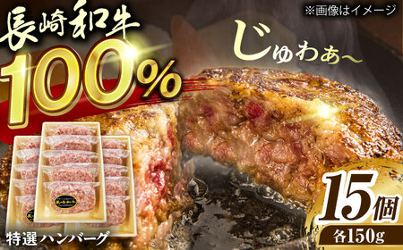 長崎和牛特選ハンバーグ150g×15[QAA038]