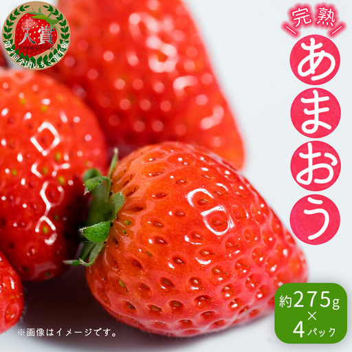 【先行予約／2027年出荷】暖家のいちご 完熟あまおう (約275ｇ×4パック） 4H4-S
